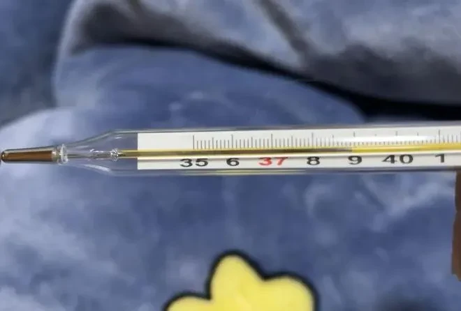 哪里可以找到关于篮球总决赛的训练资料_0